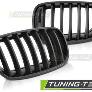 Tuning Tec Grill BMW X5 E70 GRBMC1